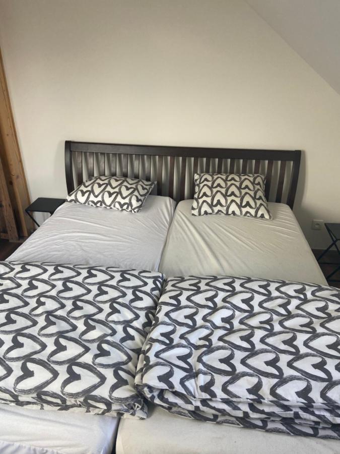 Апартаменты Horsky Apartman Pod Jestedem Либерц Экстерьер фото